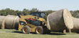 CAT Skid Steer Loader